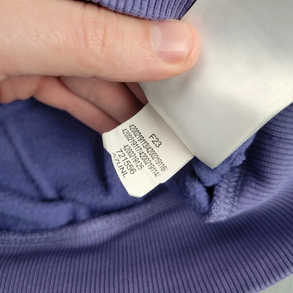 The North Face Hoodie Mens Small Purple Logo Pullover Fleece F23 721556-A7UNL